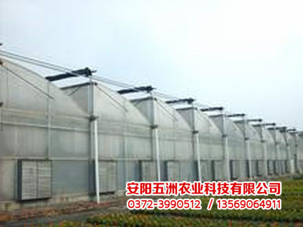 連棟大棚 連棟大棚